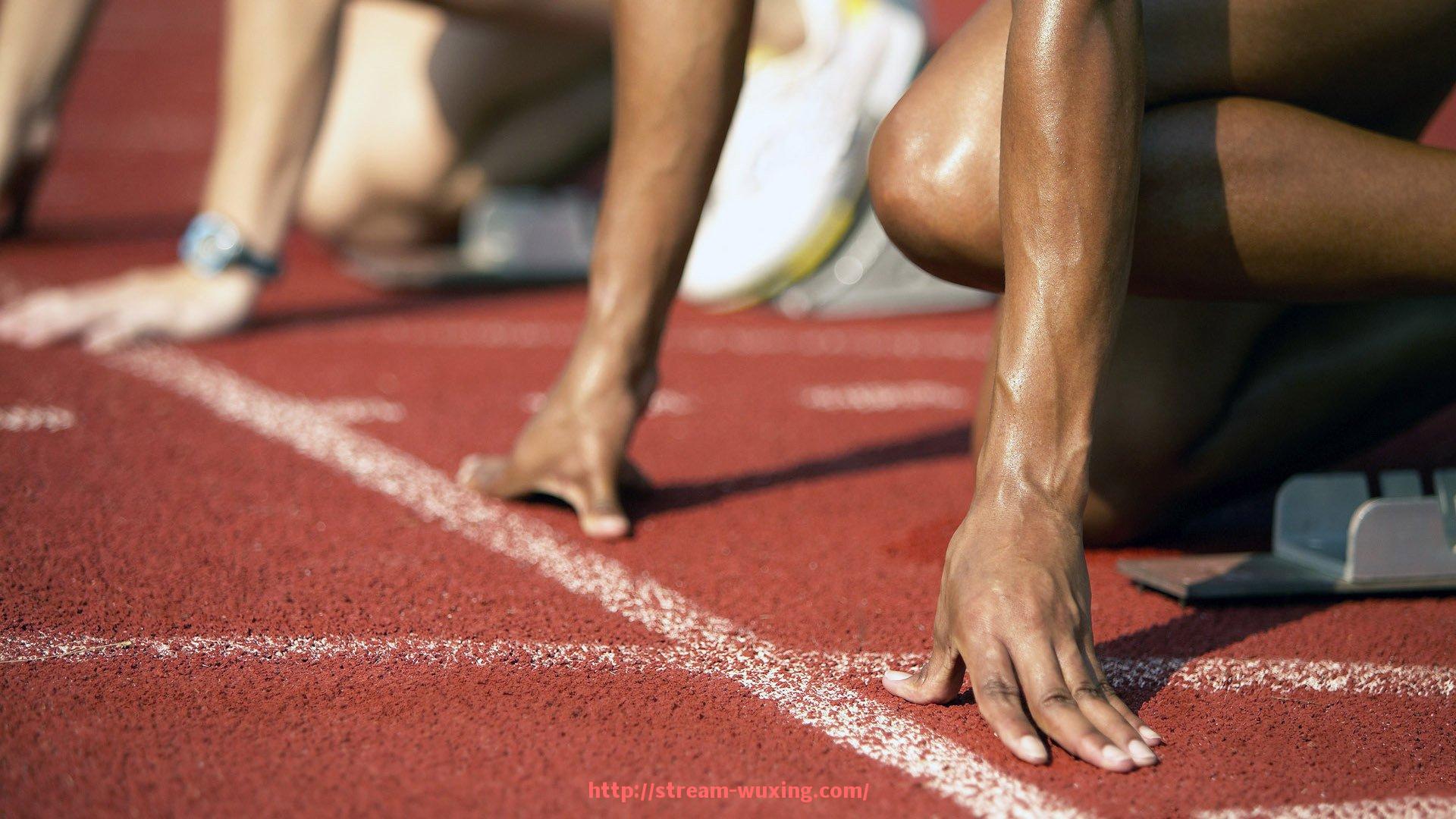 五星体育直播-世俱杯赛事主办方举报反馈受理机制流程及案例分析