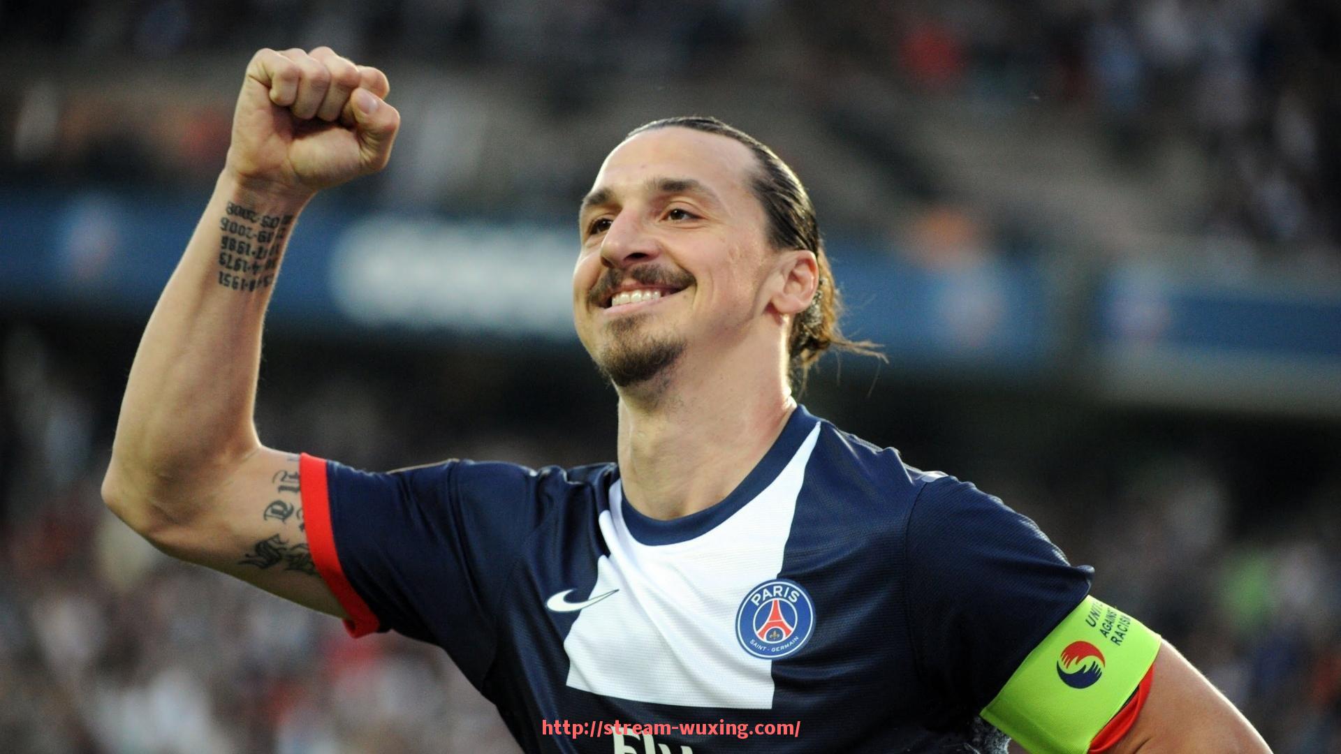 五星体育直播-小型家用健身器材名称大全及功能分类